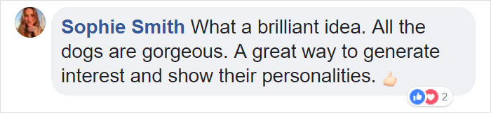 This Magician Made Treats Disappear And Shelter Dogs' Reactions Will Crack You Up