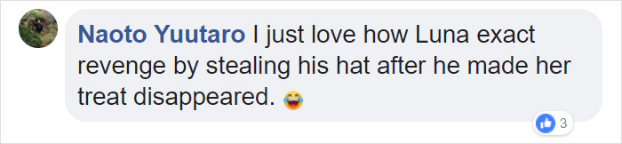 This Magician Made Treats Disappear And Shelter Dogs' Reactions Will Crack You Up