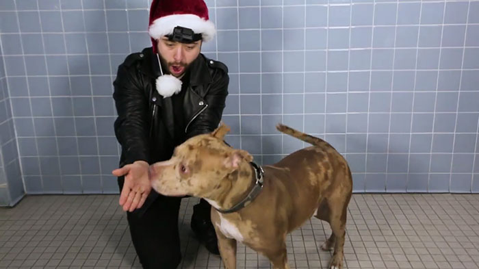 This Magician Made Treats Disappear And Shelter Dogs' Reactions Will Crack You Up