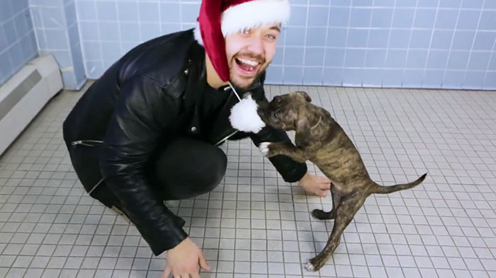 This Magician Made Treats Disappear And Shelter Dogs' Reactions Will Crack You Up