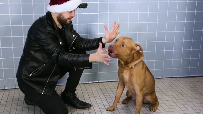 This Magician Made Treats Disappear And Shelter Dogs' Reactions Will Crack You Up