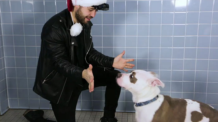 This Magician Made Treats Disappear And Shelter Dogs' Reactions Will Crack You Up