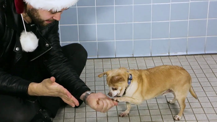 This Magician Made Treats Disappear And Shelter Dogs' Reactions Will Crack You Up This Magician Made Treats Disappear And Shelter Dogs' Reactions Will Crack You Up