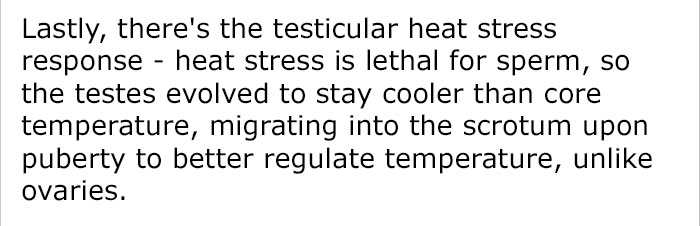 Guy Calls Out Anti-Manspreading Campaigns For Being Hypocritical