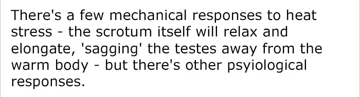 Guy Calls Out Anti-Manspreading Campaigns For Being Hypocritical
