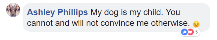 Millennials Are Blamed For Ruining Pet Food Industry So They Respond By Explaining Why It's Not Their Fault Millennials Are Blamed For Ruining Pet Food Industry So They Respond By Explaining Why It's Not Their Fault