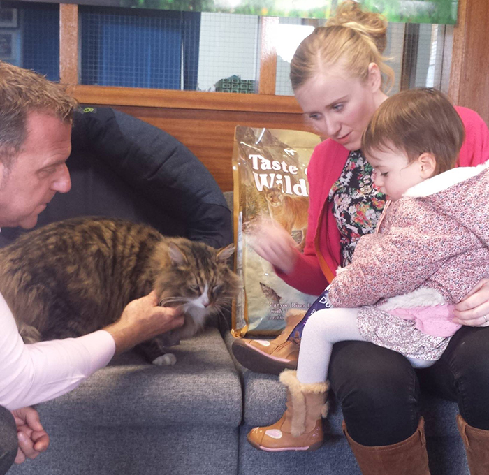 After 14 Months Owner Finds Her Missing Cat Twice The Size, Turns Out He Was Living In A Pet Food Factory After 14 Months Owner Finds Her Missing Cat Twice The Size, Turns Out He Was Living In A Pet Food Factory