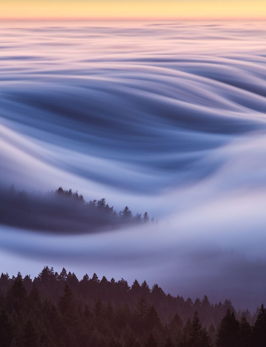 People's Choice, Places: Cotton Candy, Fog Waves, David Odisho