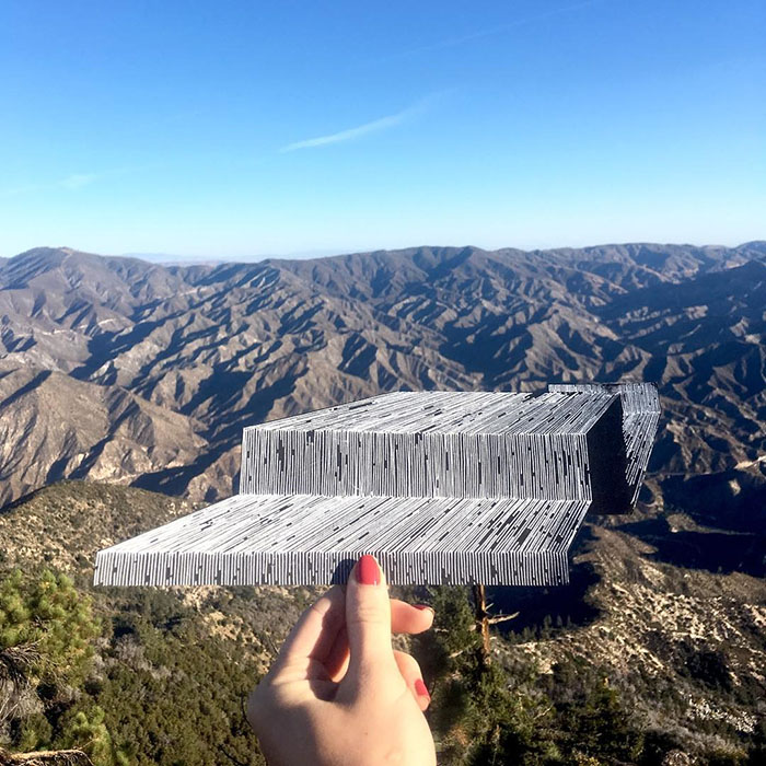 This Artist Creates Amazing Optical Illusions Using Simple Lines