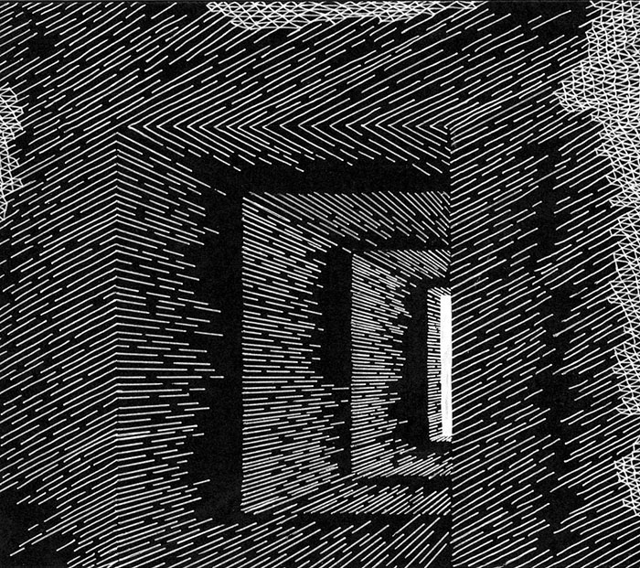 This Artist Creates Amazing Optical Illusions Using Simple Lines This Artist Creates Amazing Optical Illusions Using Simple Lines