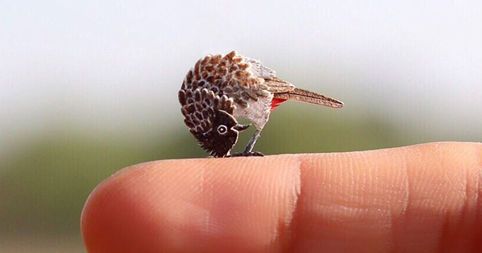 We Are Creating Miniature Paper Cut Birds Everyday For An Entire Year
