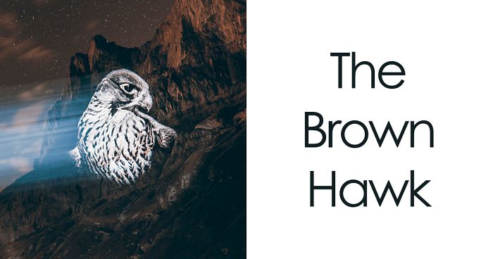 I Used A Powerful Projector To Create My ‘Crying Animals’ Series, That Showcases Endangered Species