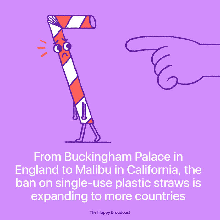 2019 Is Almost Here. It's Time To Enjoy All The (Illustrated) Good News Of 2018!