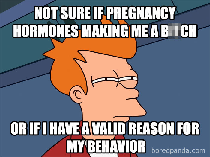 Cartoon character with skeptical expression, humorous text about pregnancy hormones.