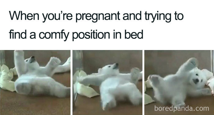 Funny pregnancy meme with a polar bear struggling to find a comfortable position in bed.