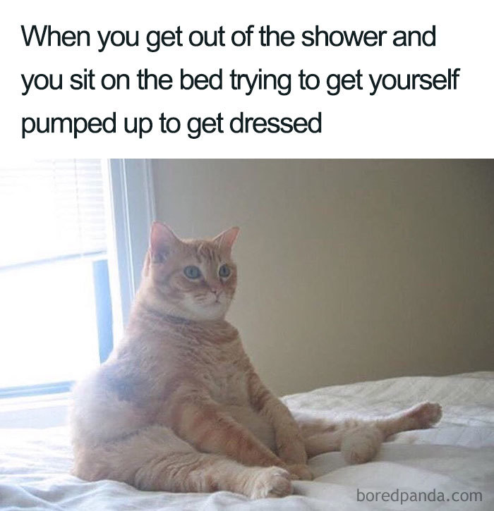 Funny pregnancy meme featuring a cat sitting on a bed, looking unmotivated.