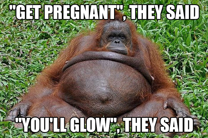 Pregnancy meme with an orangutan sitting, looking unimpressed, with humorous text about pregnancy expectations.