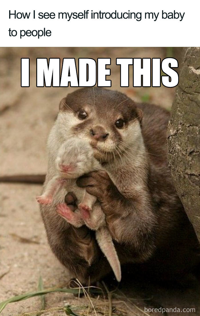 Otter holding a baby, mimicking the sentiment of funny pregnancy memes with text "I Made This."