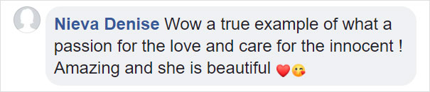 Dog Who Was So Weak Everyone Thought She’s Gonna Die Recovers In Less Than 2 Months