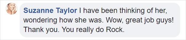 Dog Who Was So Weak Everyone Thought She’s Gonna Die Recovers In Less Than 2 Months