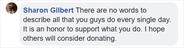 Dog Who Was So Weak Everyone Thought She’s Gonna Die Recovers In Less Than 2 Months Dog Who Was So Weak Everyone Thought She’s Gonna Die Recovers In Less Than 2 Months