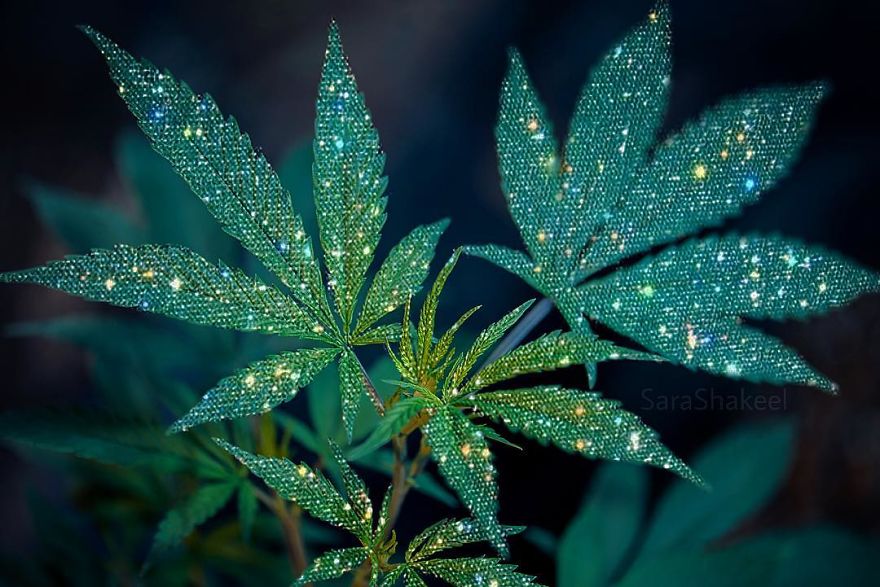 Pakistani 'Dentist' Tired Of Her Job Starts Putting Glitters And Diamonds On Every Image And The Results Are Magical ( 10+ Images )