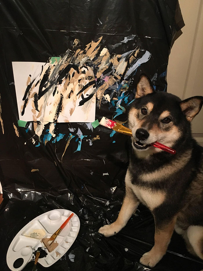 Owners Teach Their Shiba Inu To Paint, Sell Paintings Worth ~$5000