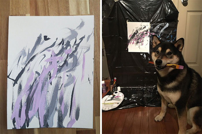 Owners Teach Their Shiba Inu To Paint, Sell Paintings Worth ~$5000
