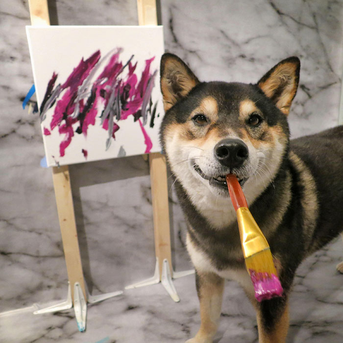 Owners Teach Their Shiba Inu To Paint, Sell Paintings Worth ~$5000