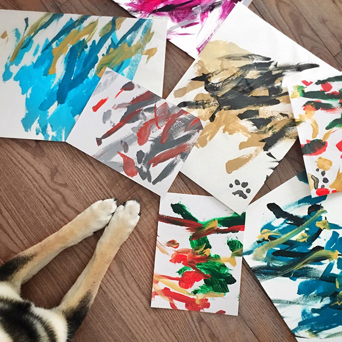 Owners Teach Their Shiba Inu To Paint, Sell Paintings Worth ~$5000 Owners Teach Their Shiba Inu To Paint, Sell Paintings Worth ~$5000