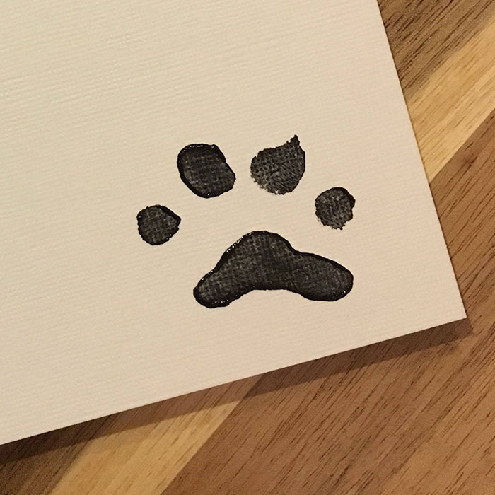 Owners Teach Their Shiba Inu To Paint, Sell Paintings Worth ~$5000 Owners Teach Their Shiba Inu To Paint, Sell Paintings Worth ~$5000