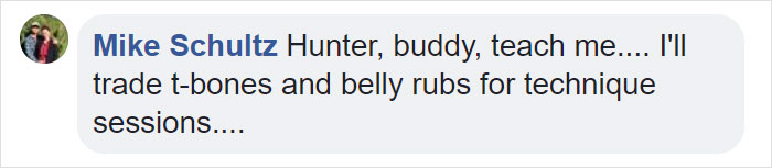 Owners Teach Their Shiba Inu To Paint, Sell Paintings Worth ~$5000