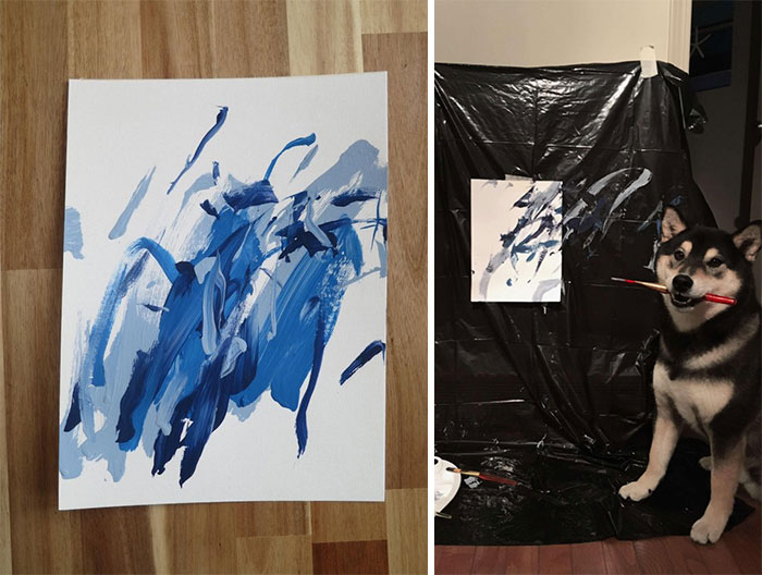 Owners Teach Their Shiba Inu To Paint, Sell Paintings Worth ~$5000 Owners Teach Their Shiba Inu To Paint, Sell Paintings Worth ~$5000
