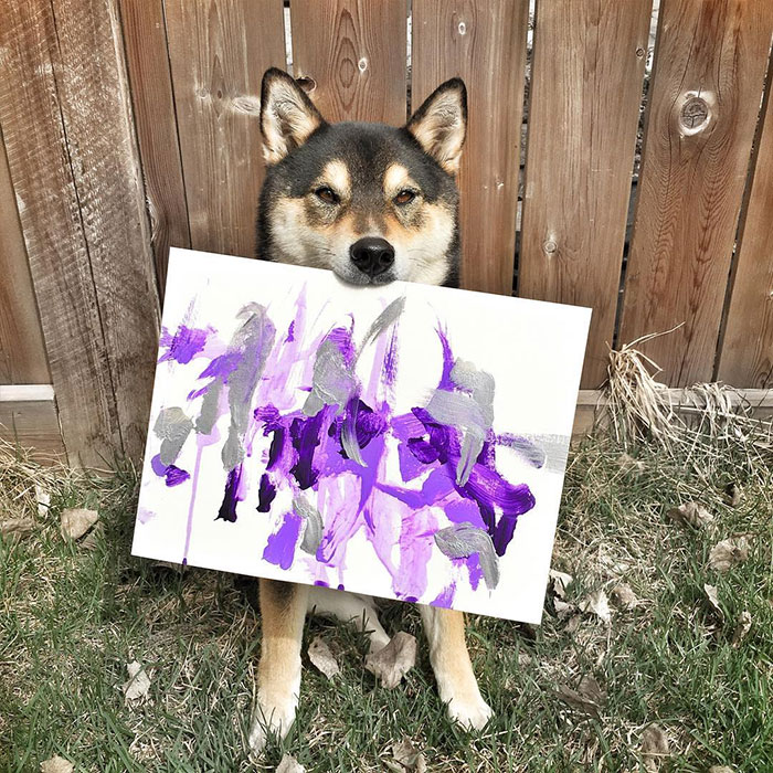Owners Teach Their Shiba Inu To Paint, Sell Paintings Worth ~$5000 Owners Teach Their Shiba Inu To Paint, Sell Paintings Worth ~$5000
