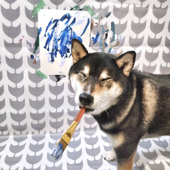 Owners Teach Their Shiba Inu To Paint, Sell Paintings Worth ~$5000