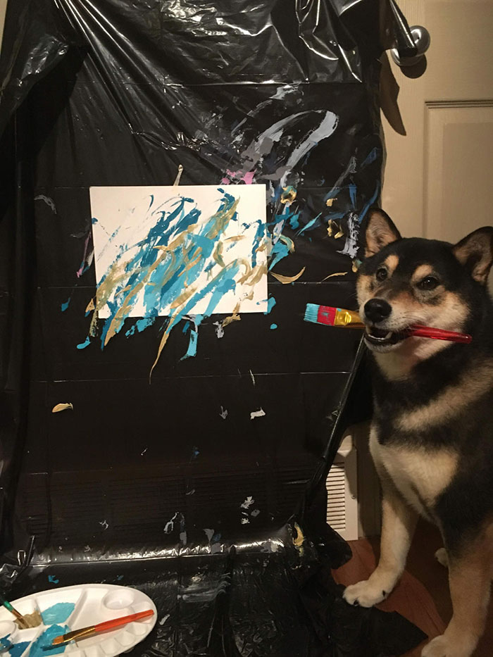 Owners Teach Their Shiba Inu To Paint, Sell Paintings Worth ~$5000 Owners Teach Their Shiba Inu To Paint, Sell Paintings Worth ~$5000