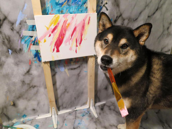 Owners Teach Their Shiba Inu To Paint, Sell Paintings Worth ~$5000 Owners Teach Their Shiba Inu To Paint, Sell Paintings Worth ~$5000