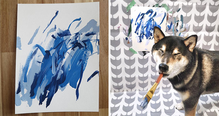Owners Teach Their Shiba Inu To Paint, Sell Paintings Worth ~$5000