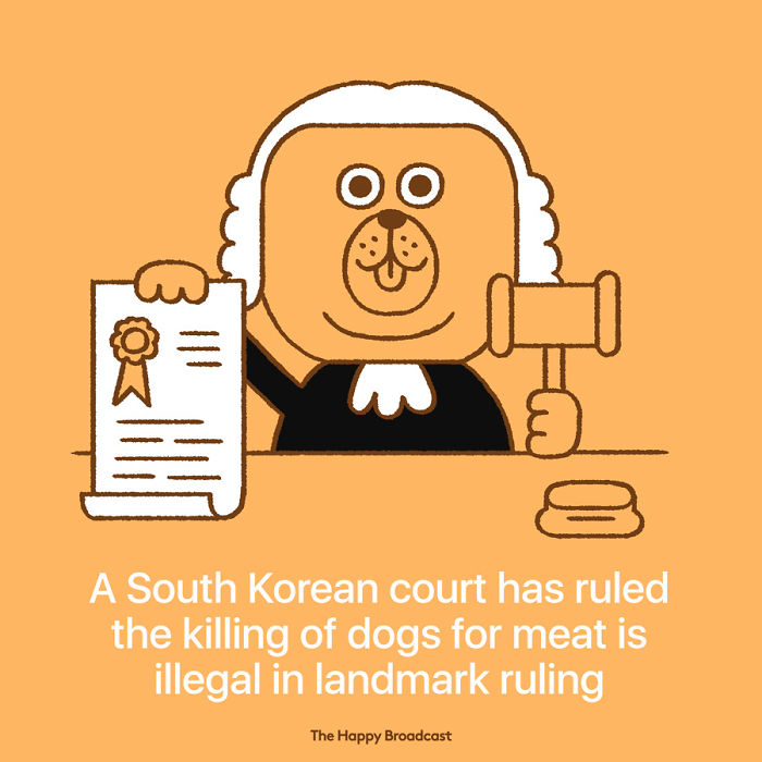 2019 Is Almost Here. It's Time To Enjoy All The (Illustrated) Good News Of 2018!