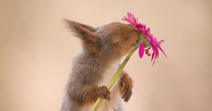 I Followed Squirrels Daily With My Camera For 6 Years And Here Are 50 Of My Best Photos