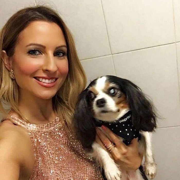 UK Government Bans Selling Puppies At Pet Stores After This Heartbreaking Dog Story Goes Viral UK Government Bans Selling Puppies At Pet Stores After This Heartbreaking Dog Story Goes Viral