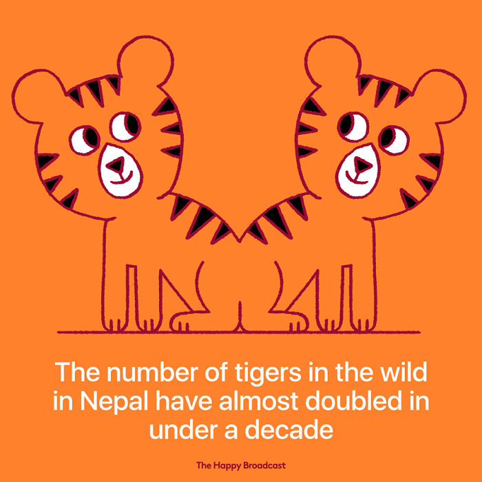 2019 Is Almost Here. It's Time To Enjoy All The (Illustrated) Good News Of 2018!