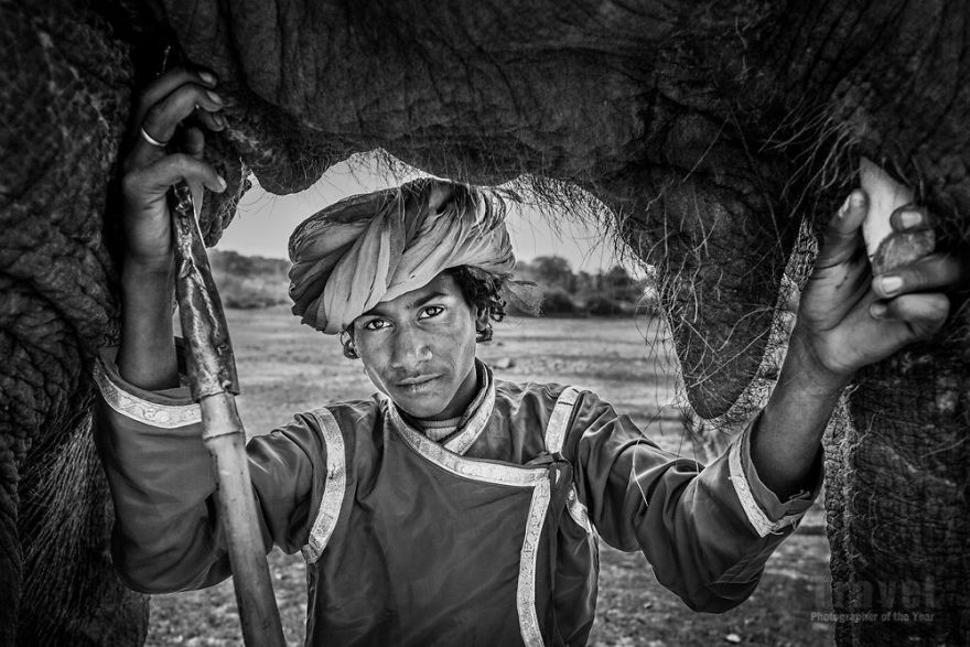 Trave, Highly Commended, Magdaléna Straková, Czech Republic