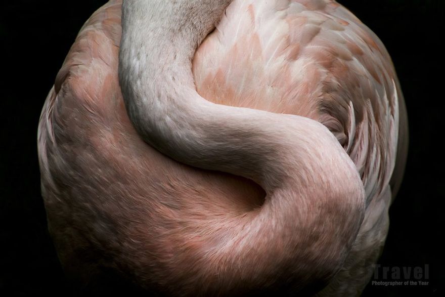 Travel, Special Mention, Yingting Shih, Taiwan