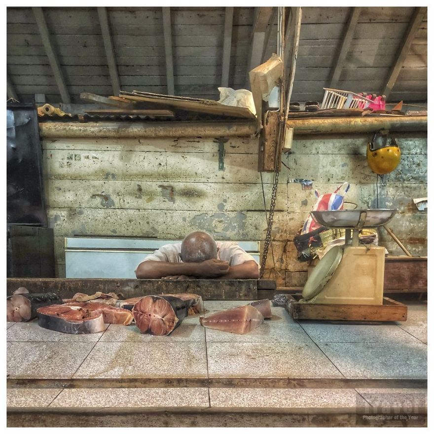 Smart Shot, Winner, Nicola Young, United Kingdom