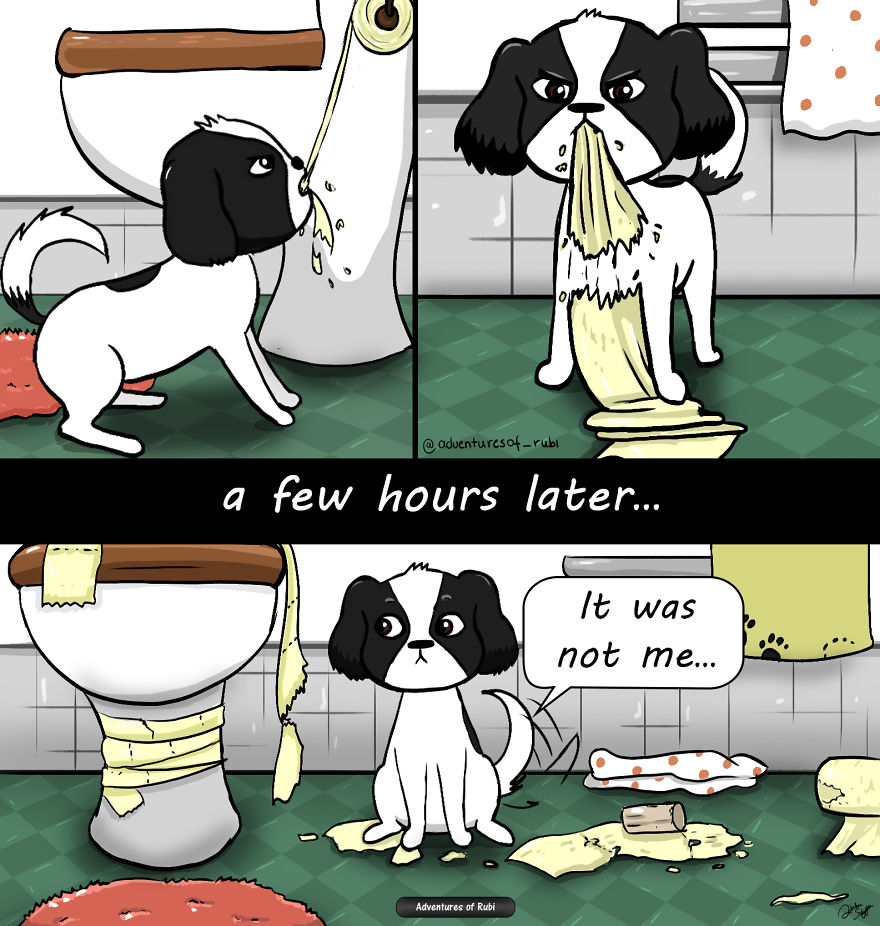 12 Comics That Every Dog Owners Will Understand