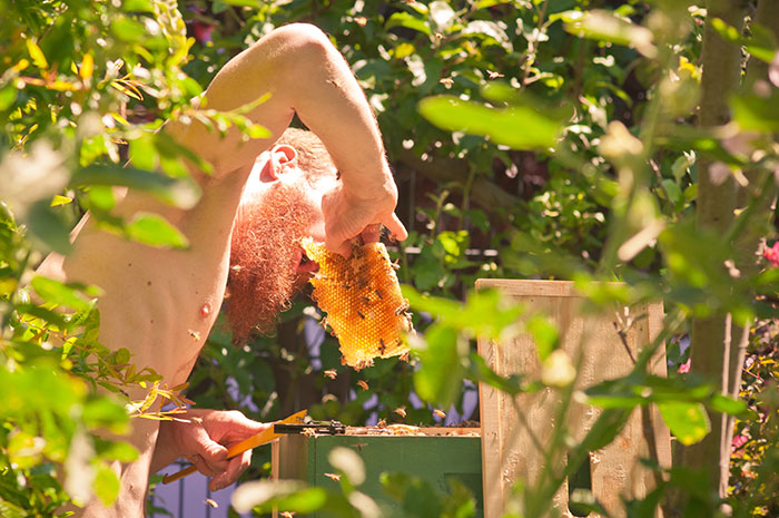 Beekeepers Sick Of Vegan Diet Hypocrisy Shut Them Down With Facts Beekeepers Sick Of Vegan Diet Hypocrisy Shut Them Down With Facts