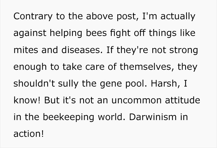 Beekeepers Sick Of Vegan Diet Hypocrisy Shut Them Down With Facts Beekeepers Sick Of Vegan Diet Hypocrisy Shut Them Down With Facts