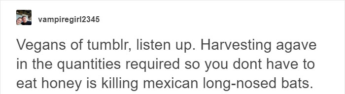 Beekeepers Sick Of Vegan Diet Hypocrisy Shut Them Down With Facts Beekeepers Sick Of Vegan Diet Hypocrisy Shut Them Down With Facts