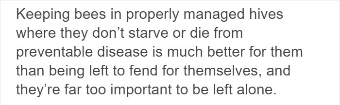 Beekeepers Sick Of Vegan Diet Hypocrisy Shut Them Down With Facts Beekeepers Sick Of Vegan Diet Hypocrisy Shut Them Down With Facts